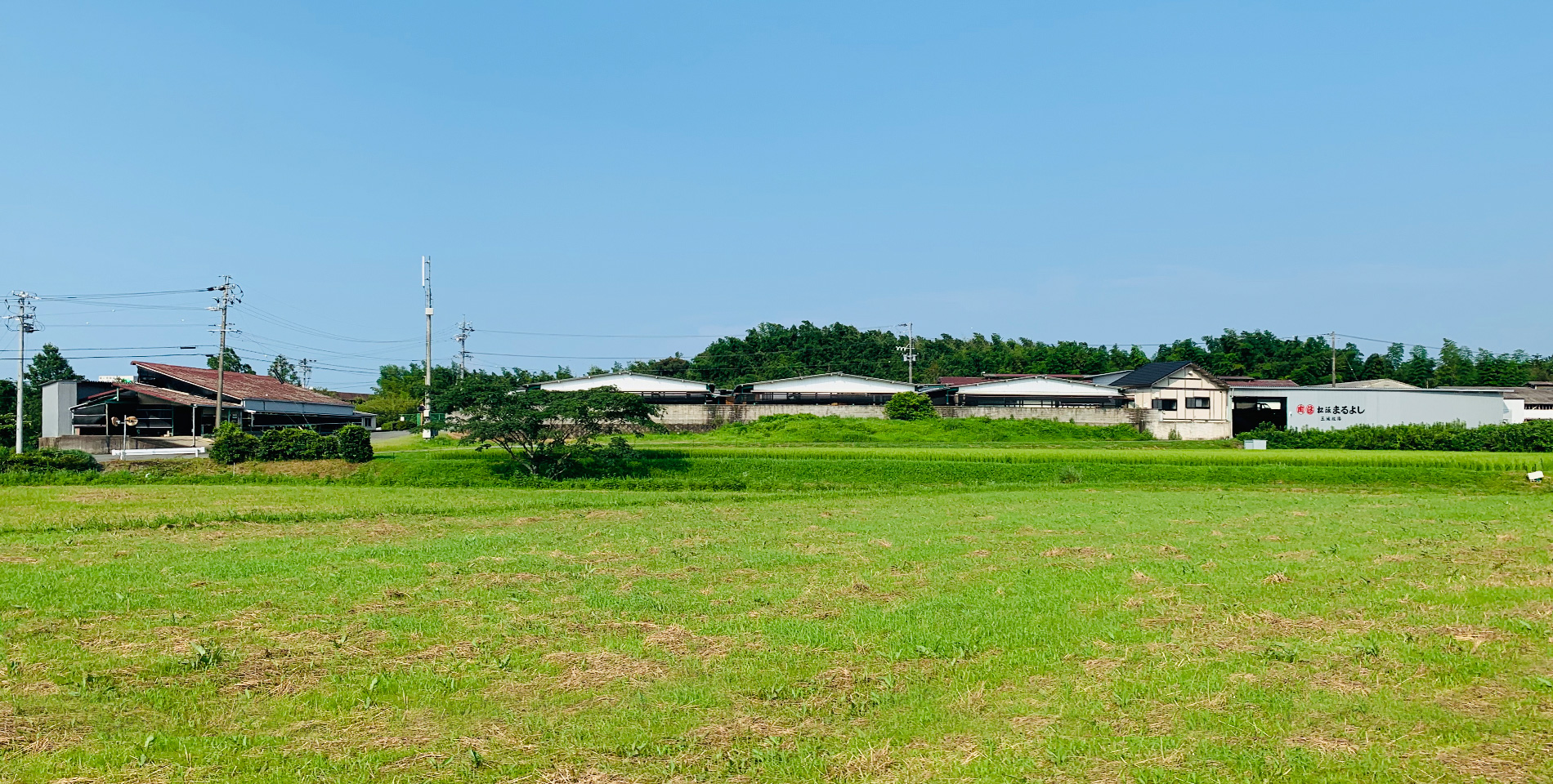 玉城牧場